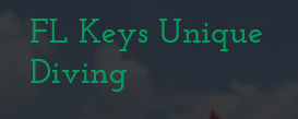 FL Keys Unique Diving